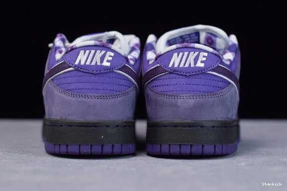 BV1310-555 Concepts Dunk Low SB Lobster Purple Nike 1008